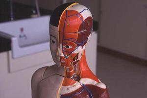 歯の困りごとは何でも相談できます。