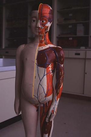 清水区は、男性のホワイトニングが人気