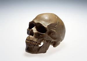 西五反田にあるクリニックについて