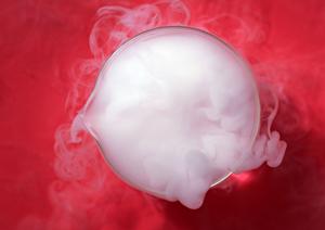 春日市で信頼できる歯科医院を見つけるポイントとは？