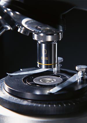 豊田市で信頼できる内科医院を見つけるための完全ガイド