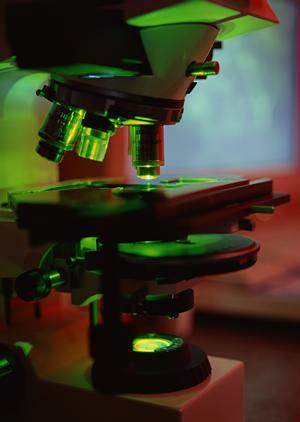 2025年最新！江坂で評判の消化器内科クリニック徹底ガイド