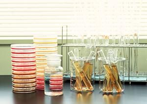 休日診療ならこの内科クリニックへ